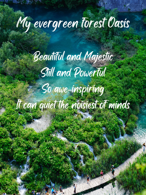 Evergreen Forest Oasis | Digital Download available on my Etsy Shop